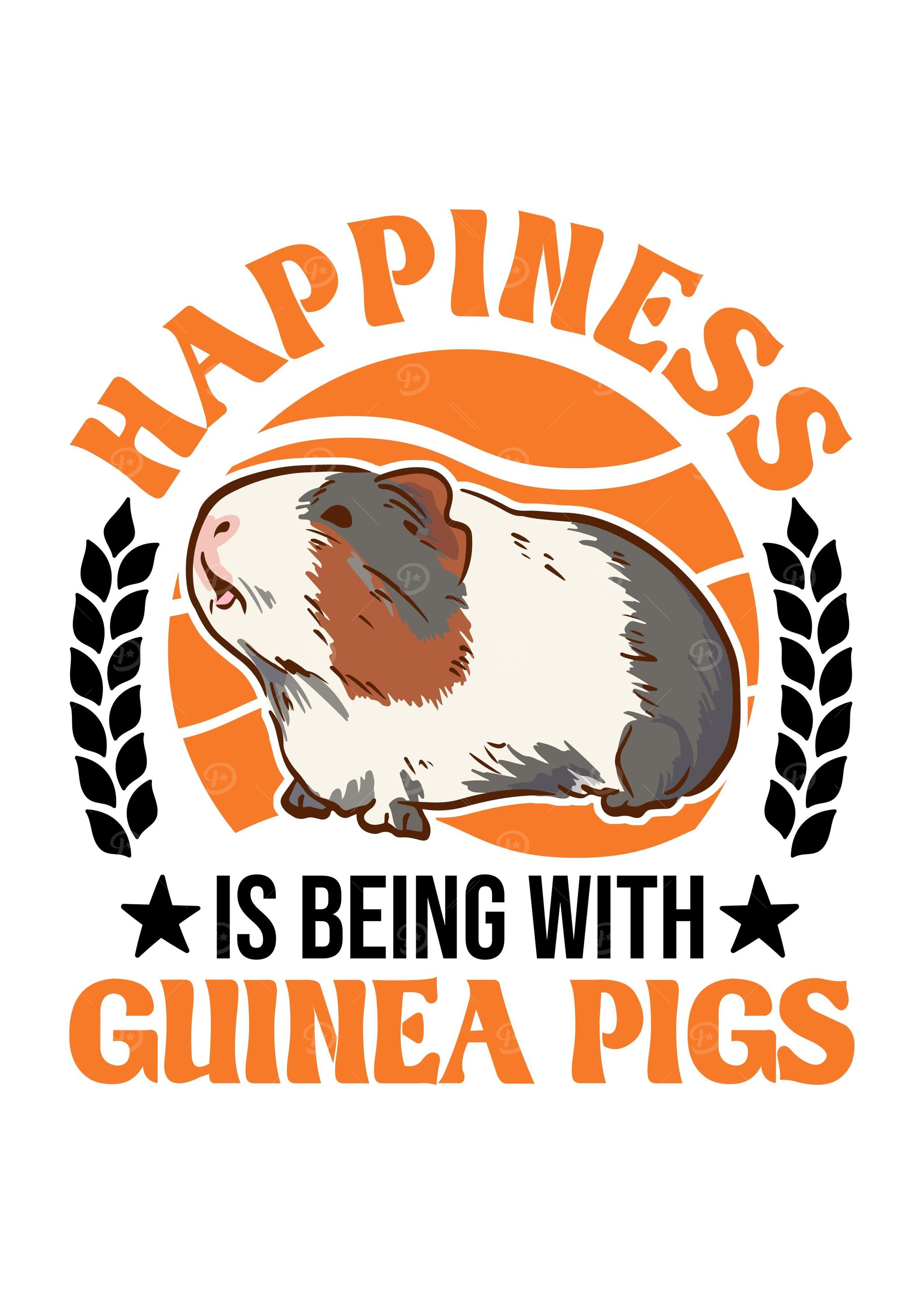 Guinea Pig Gift