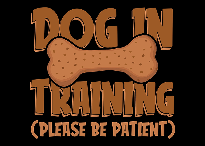 Dog Trainer