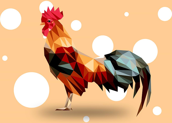 Rooster
