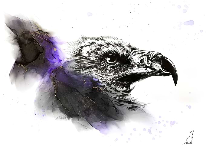 Vulture