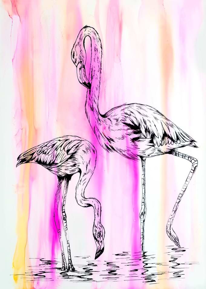 Majestic Flamingo