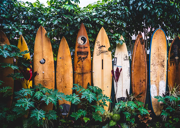 Wall of Surf Boards