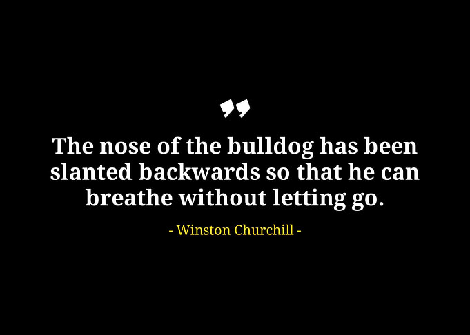 Winston Churchill t