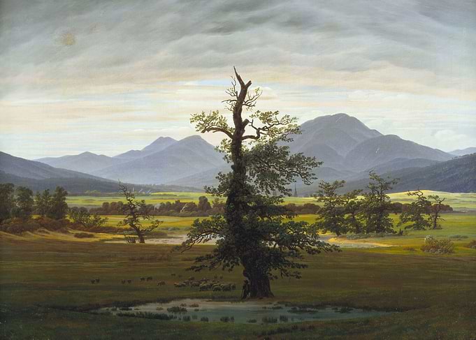 Solitary Tree