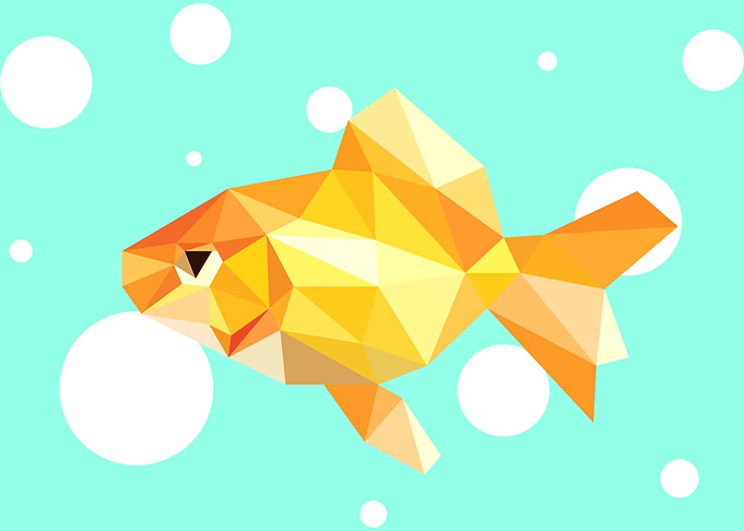 Goldfish