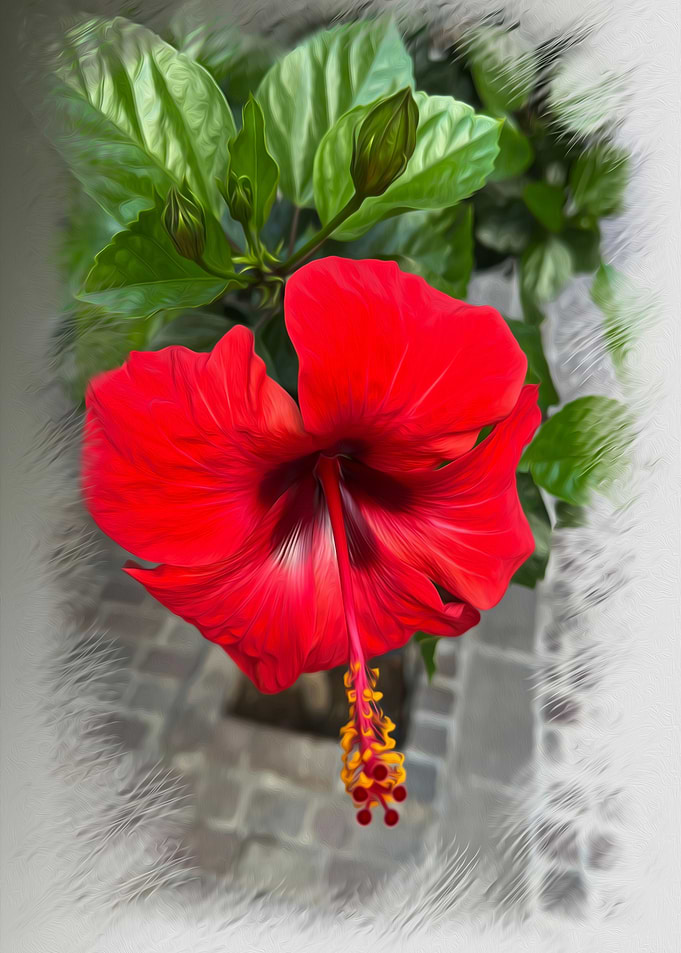 Bright red flower