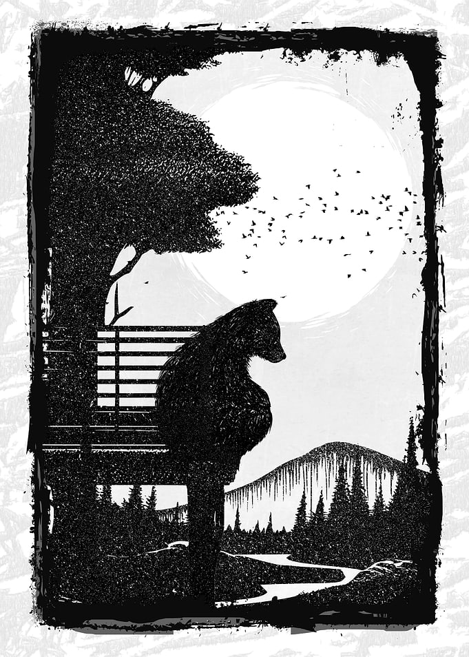 Bear and Bears