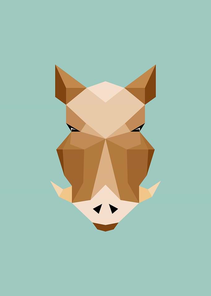 wild boar