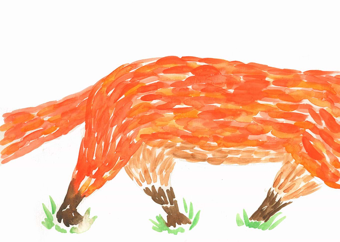 Fox Passing By