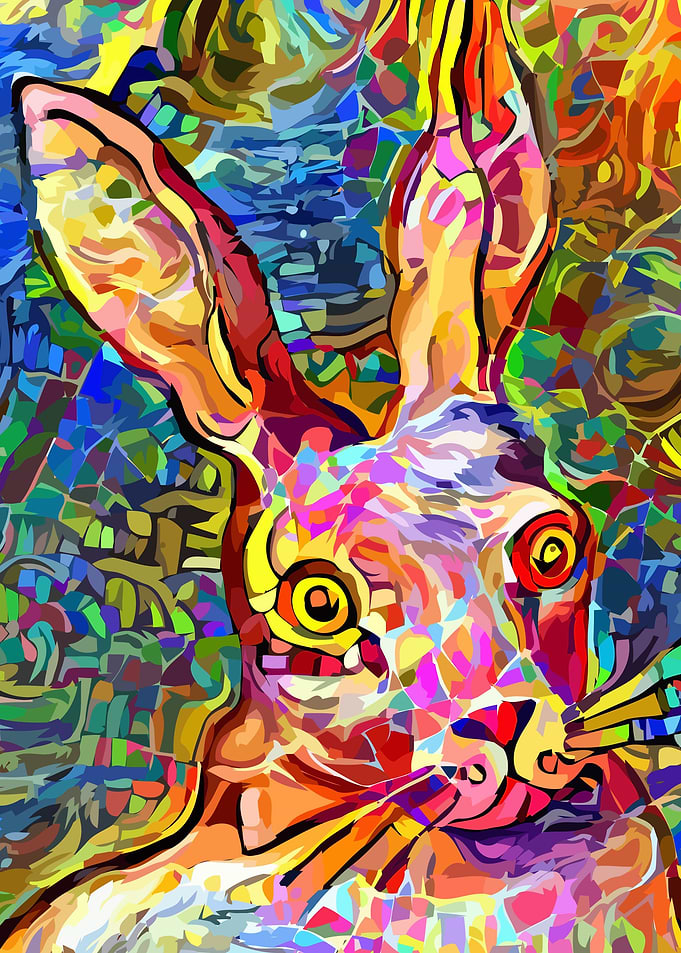 rabbit