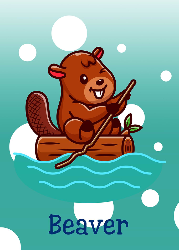 Beaver