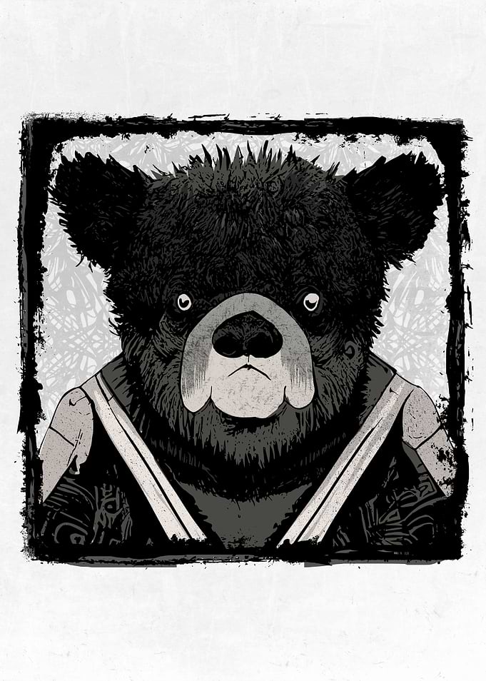 Bear and Bears
