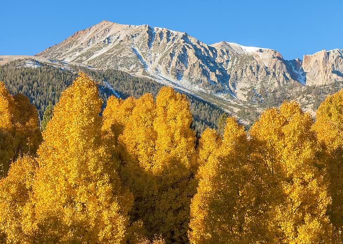 Sierra Autumn