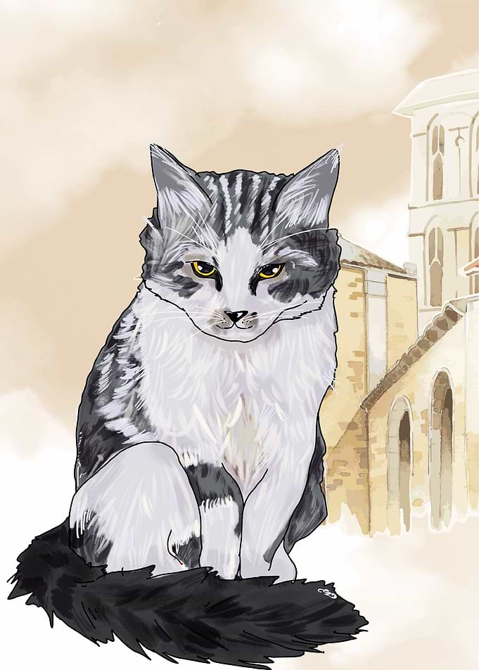 Cat Wandering
