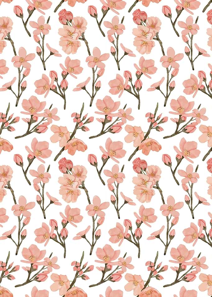 Cherry Blossom Flower 32