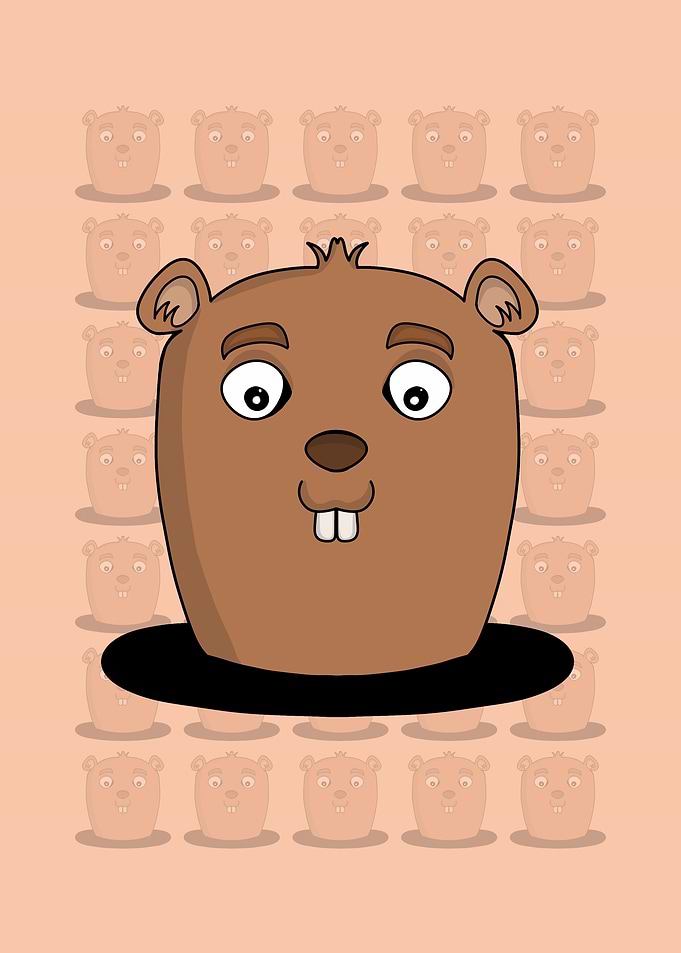 Beaver in the hole