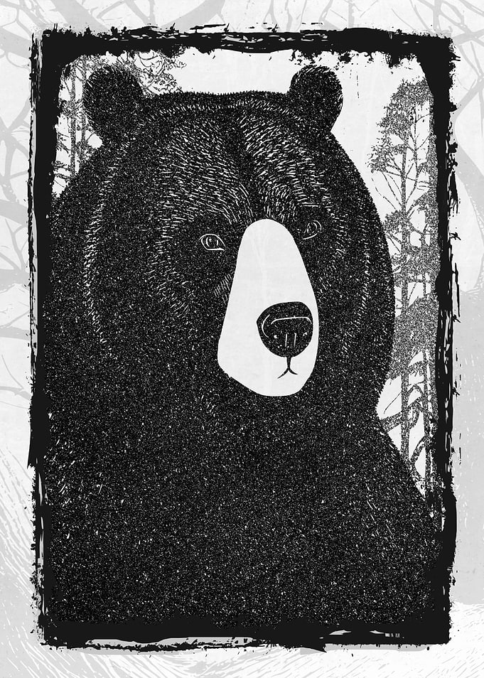 Bear and Bears