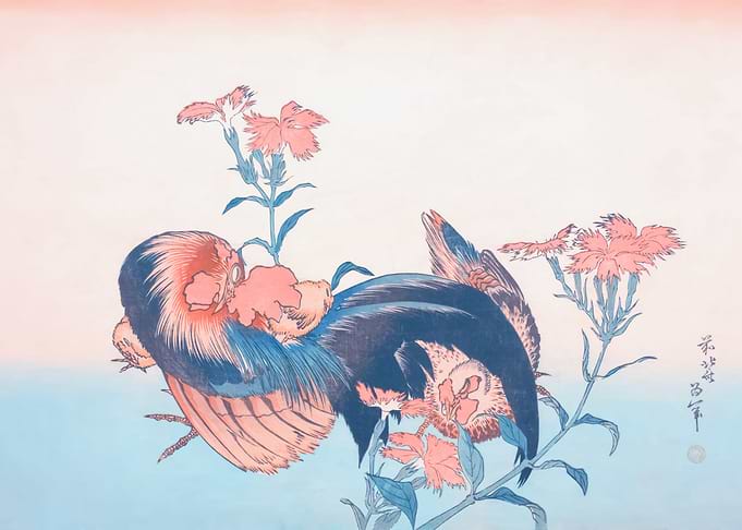 Cock Hen and Nadeshiko