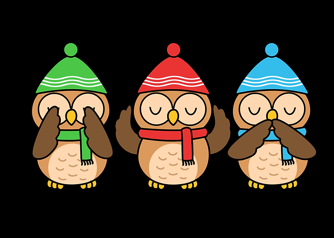 Christmas Owl Gift Women