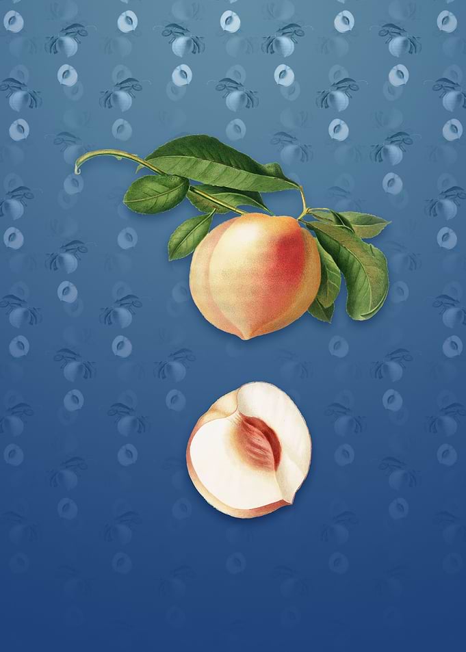 Peach on Bahama Blue