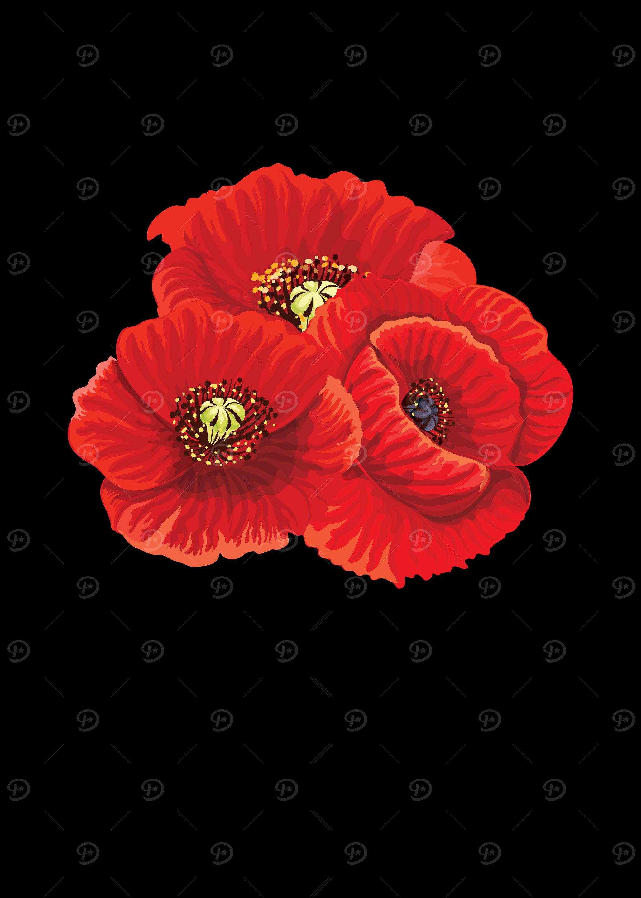 Poppy Flower Flowers Flora