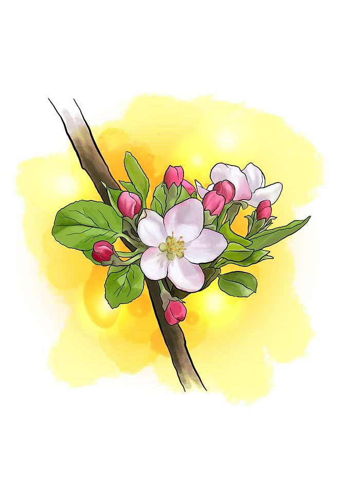 Blooming May