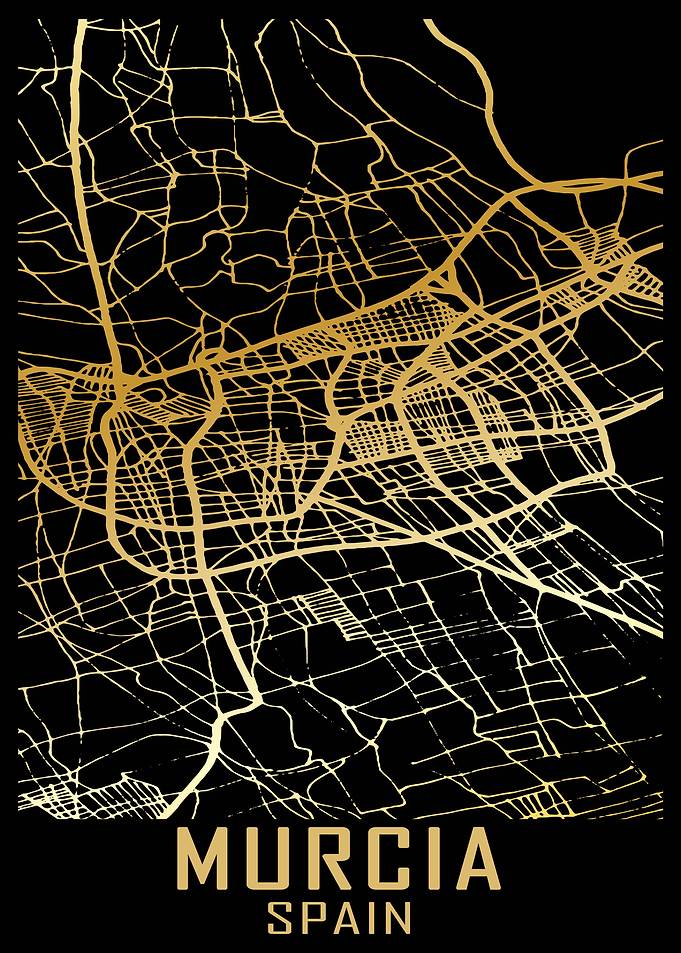 Murcia Spain City Map