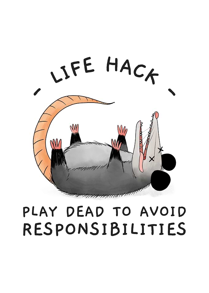 Funny Opossum