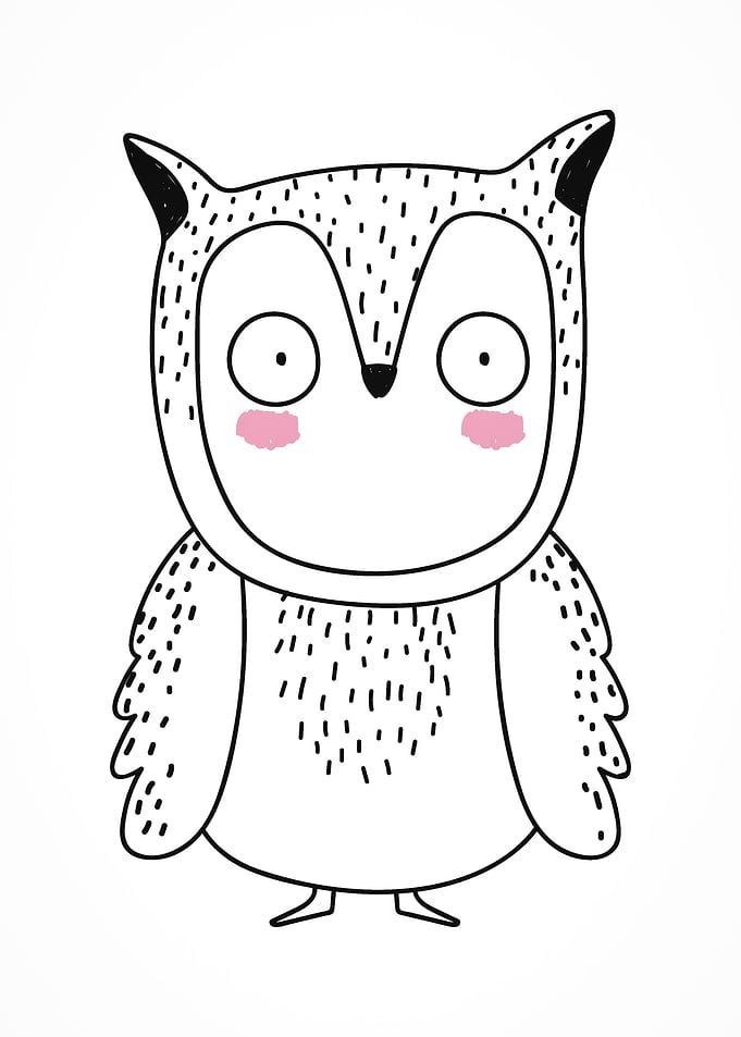 cute animal