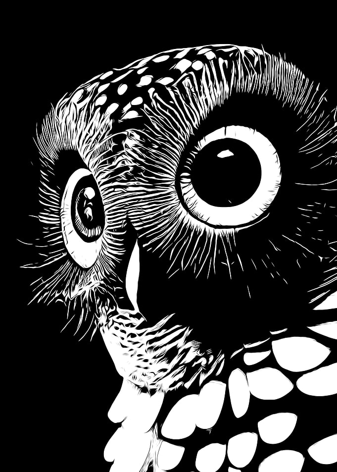Vintage Owl