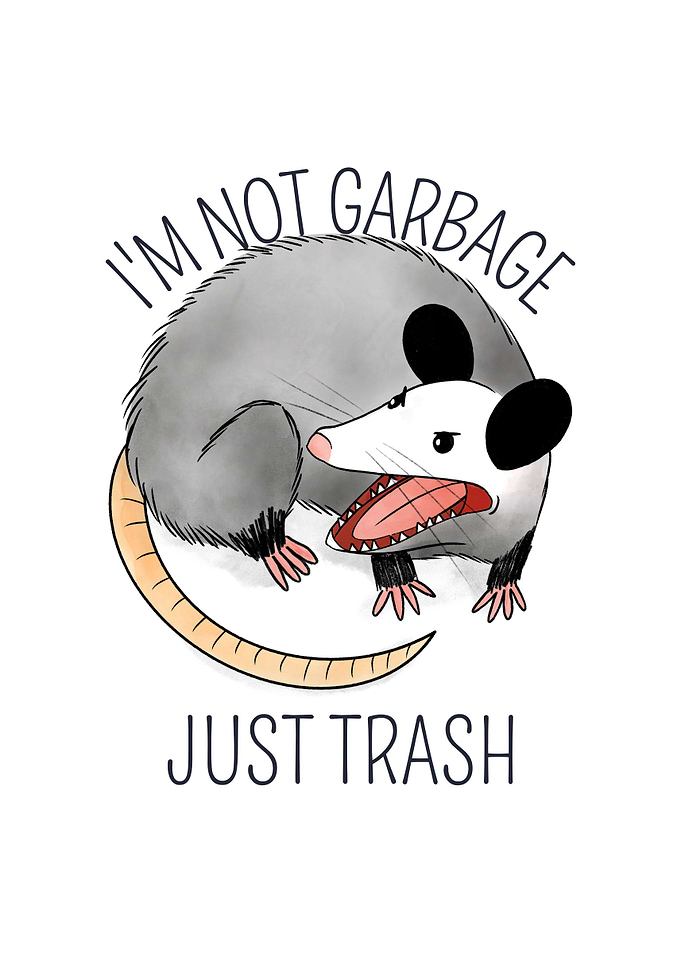 Funny Opossum