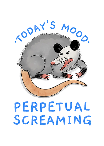 Anxious Opossum