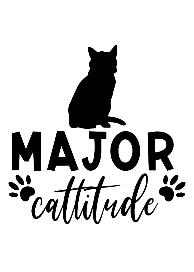 Quotes Cat Animal Cute