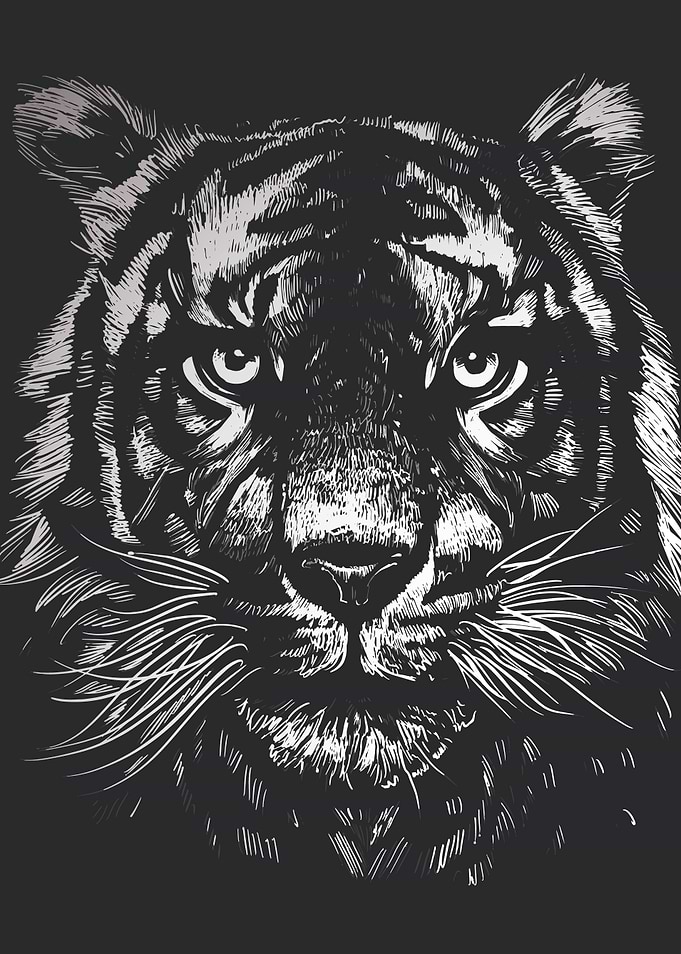 Tiger Lion Realistic