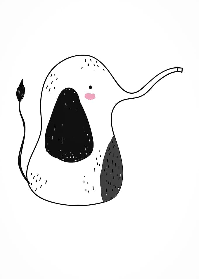 cute animal elephant