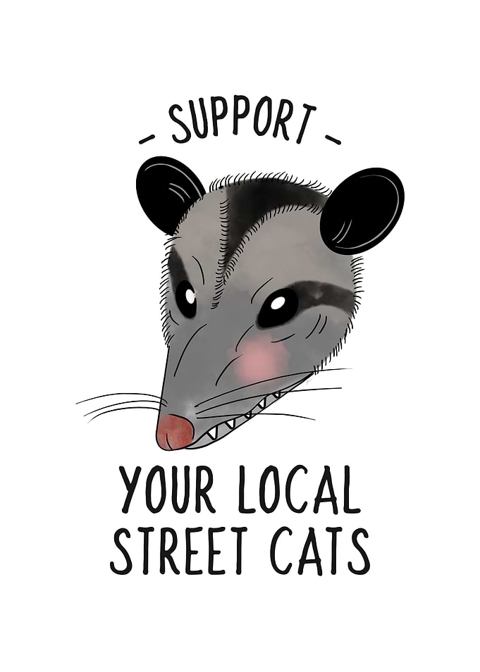 Sarcastic Opossum