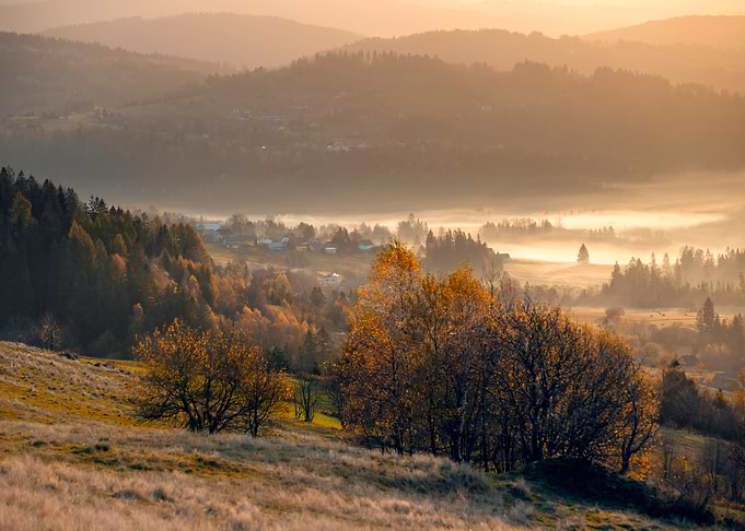 Autumn tress in mountains