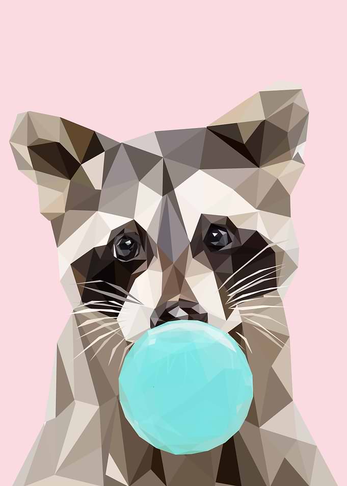 raccon bubble gum animal