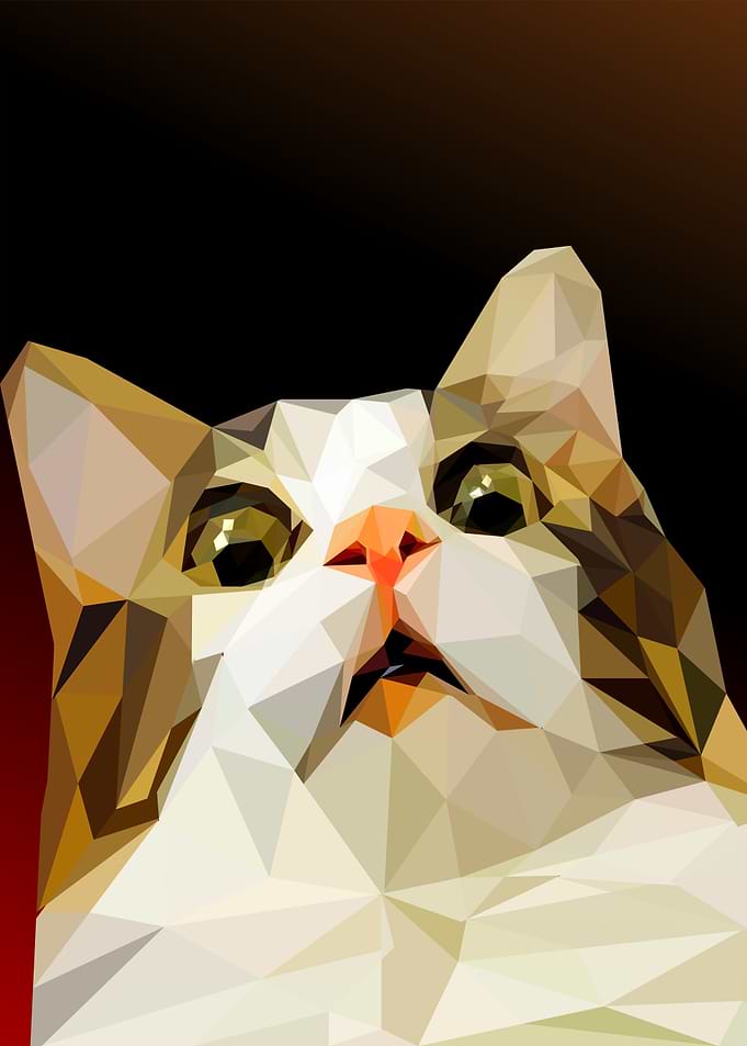 scared cat meme