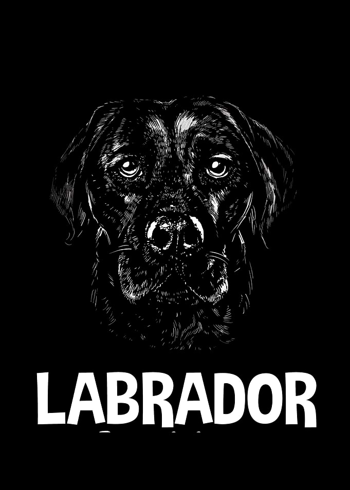 Labrador Labby Dog Face
