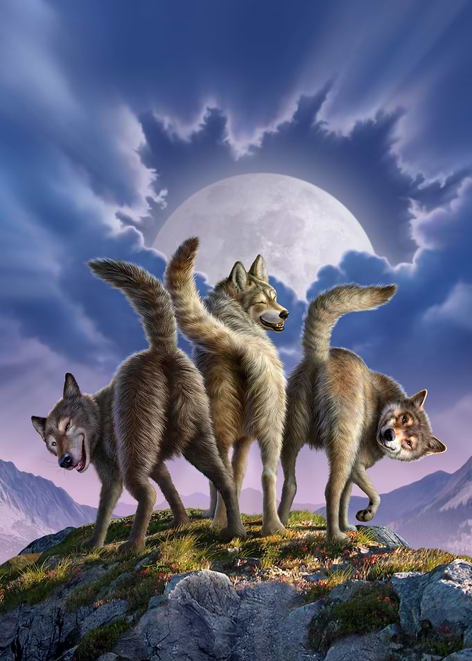 Full Moon
