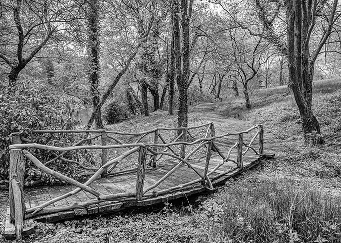 Hiking Trail Bridge