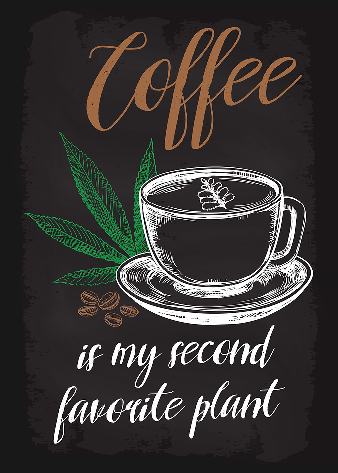 Coffee Weed Cannabis THC