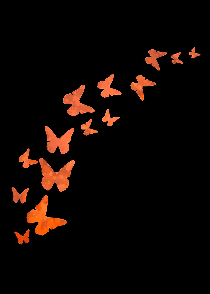 Butterfly Animal