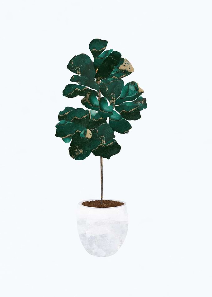 Metallic Fiddle Leaf Fig