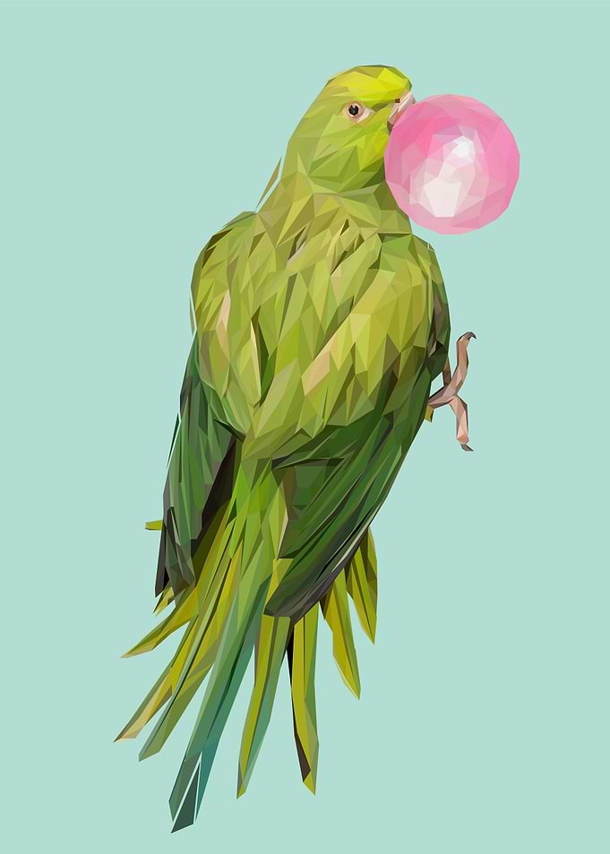 parrot bubble gum animal