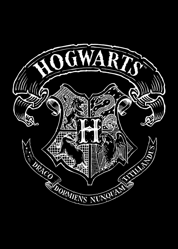 Wizarding School