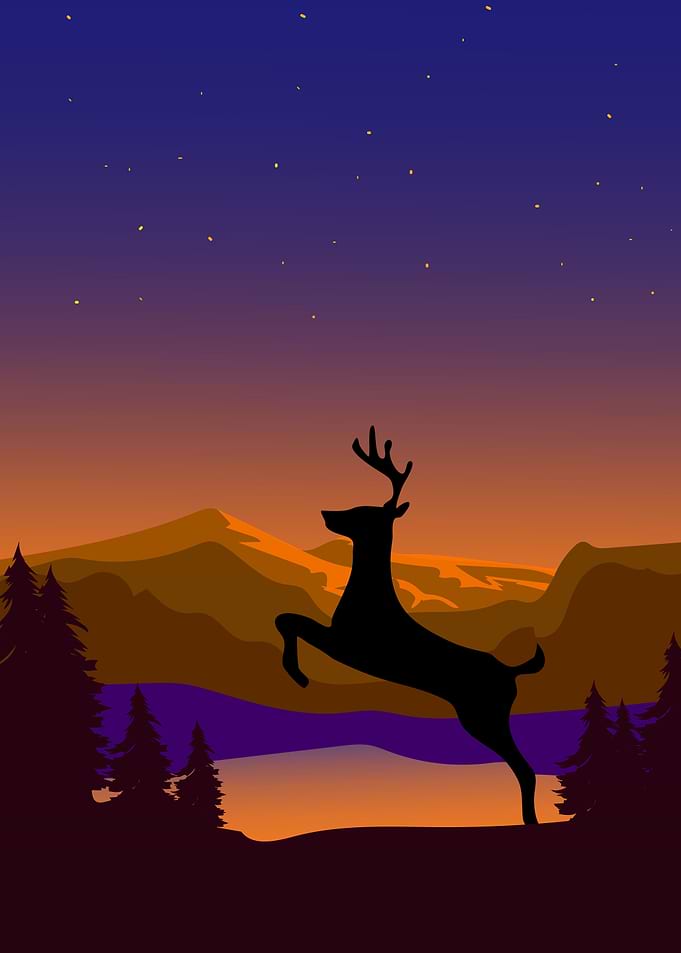 Deer Animal