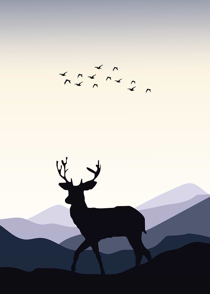 Deer Animal