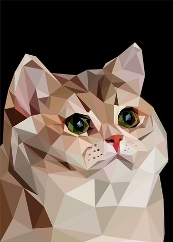 heavy breathing cat